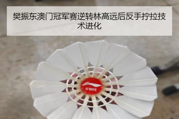 fan-zhen-dong-ao-men-guan-jun-sai-ni-zhuan-lin-gao-yuan-hou-fan-shou-ning-la-ji-shu-jin-hua-2-954.jpg